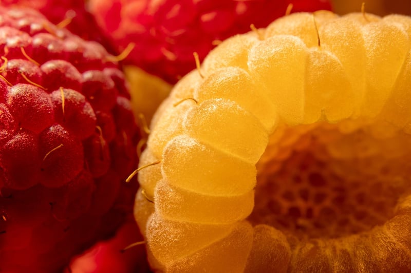 Raspberry Strudel